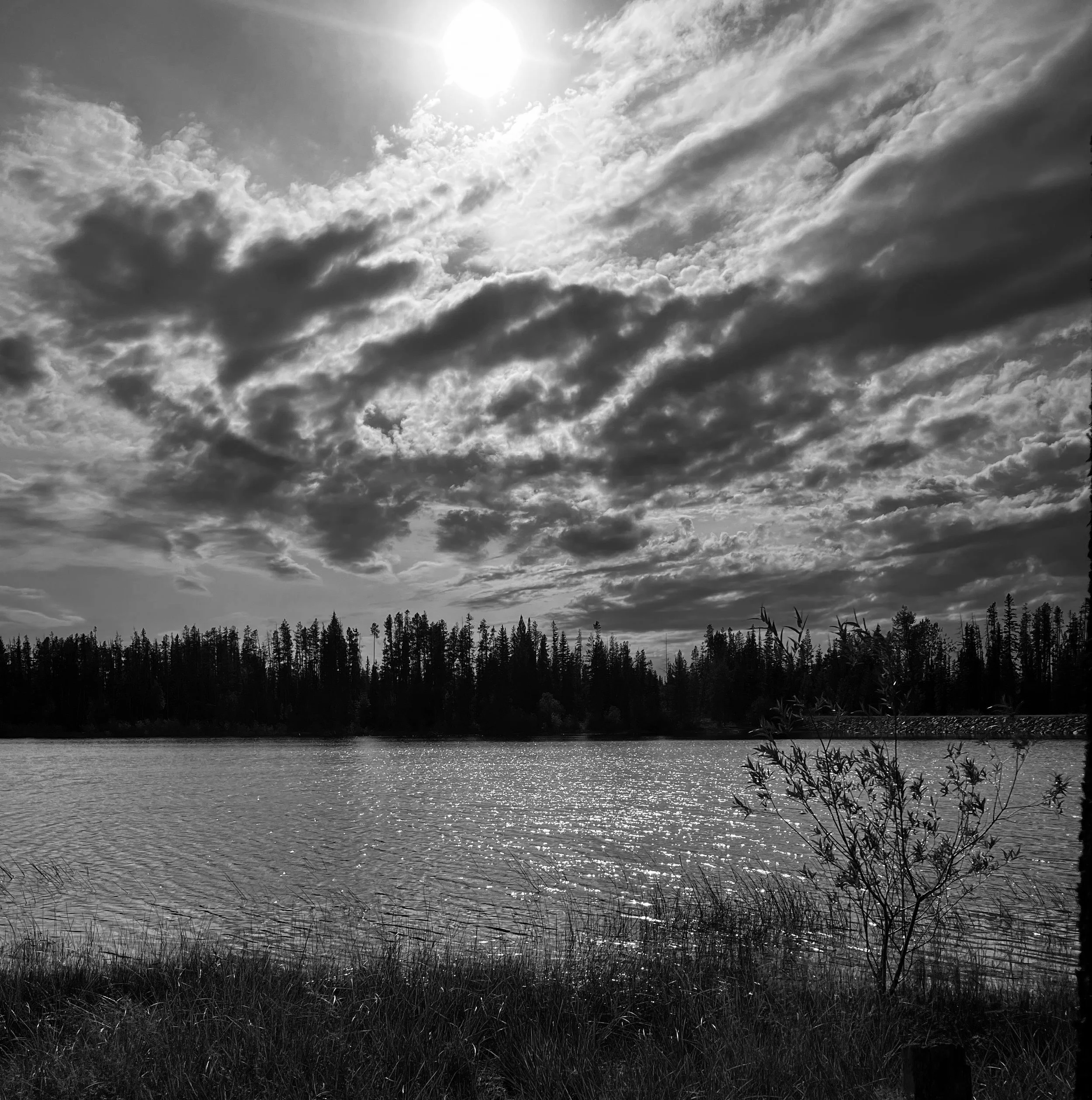 Black and white image of a lake with trees in the background.
