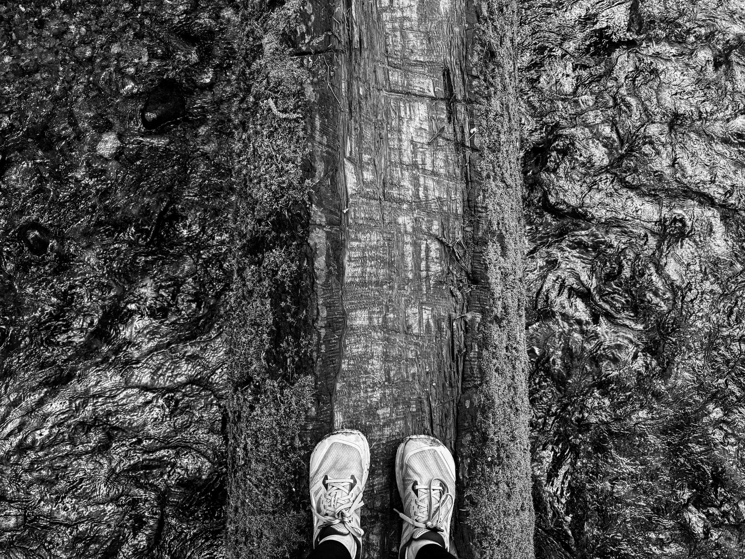 Looking down at running shoes balanced on a fallen log, symbolizing taking small, intentional steps toward personal growth and resilience.