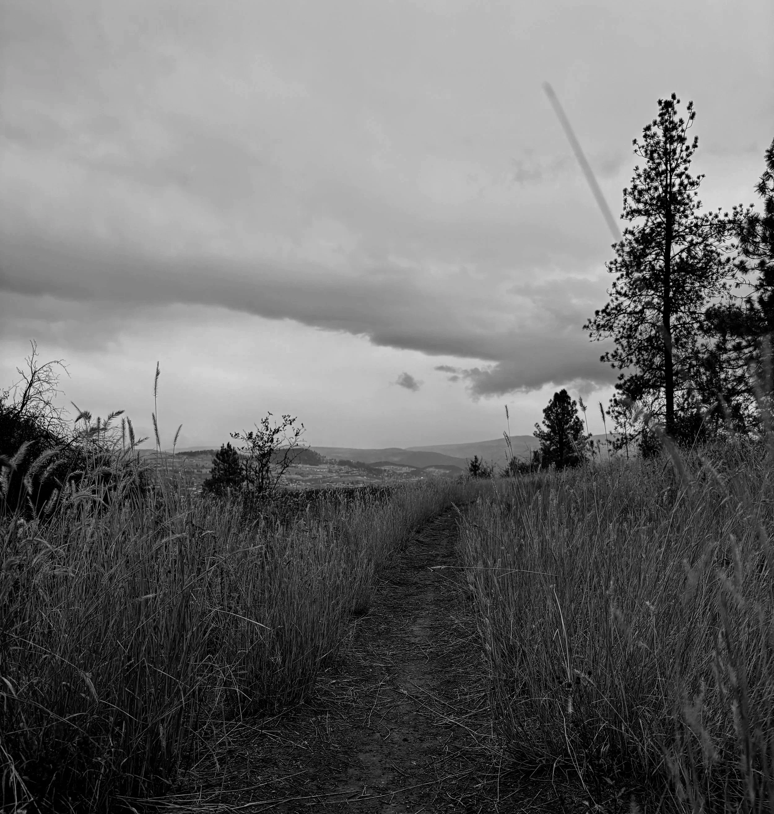 Forest trail leading toward dark storm clouds, symbolizing stillness, emotional healing, and moving through life's difficult seasons.