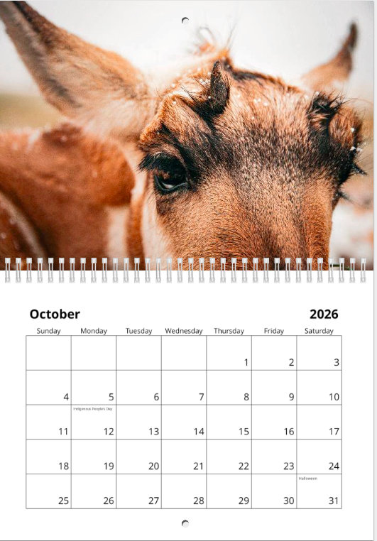 Screen Shot 2025-12-02 at 12.15.07 PM.png