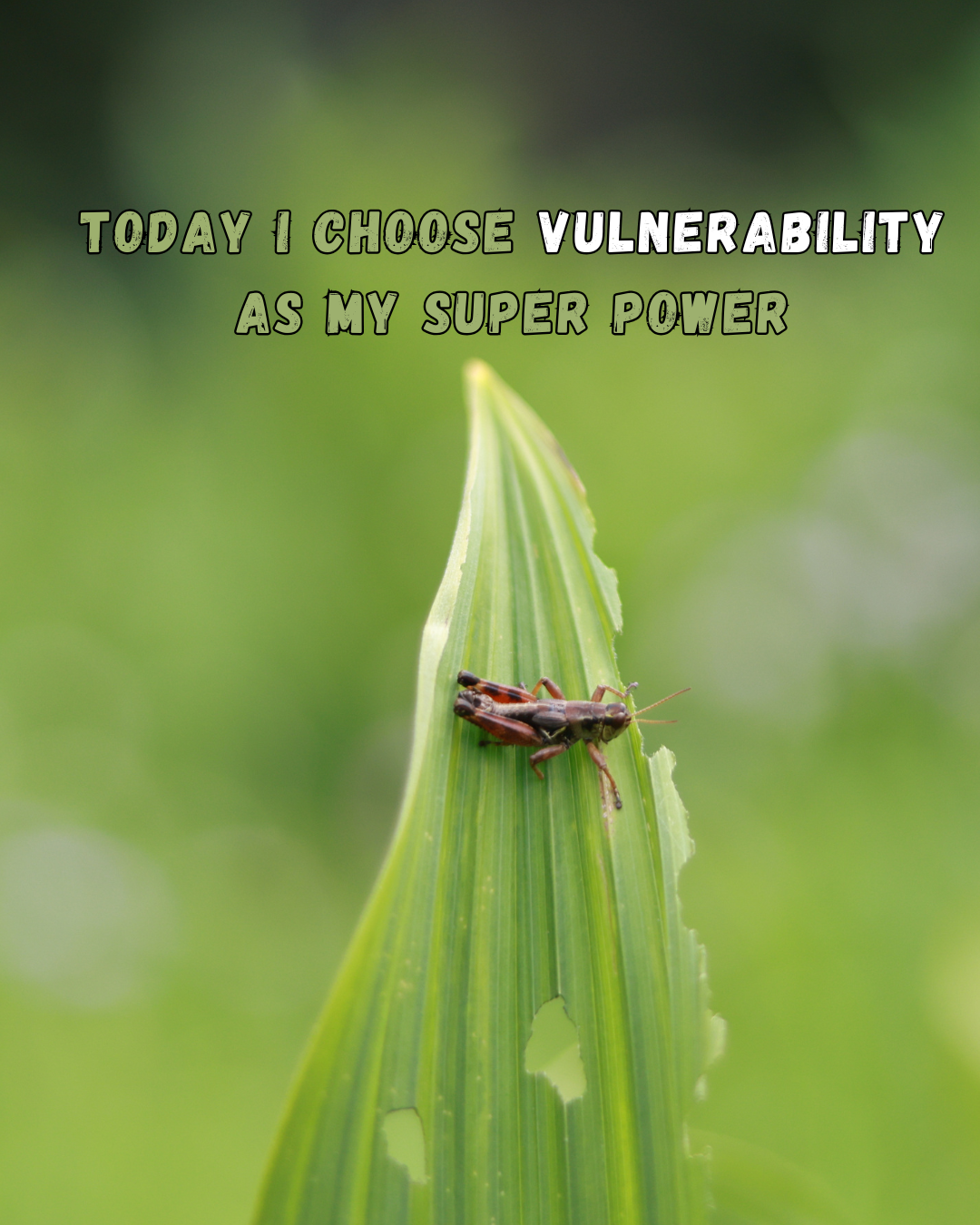 Today I choose vulnerability as my super power.&nbsp;&nbsp;