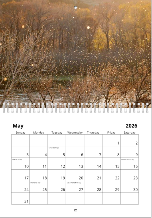 Screen Shot 2025-12-02 at 12.14.42 PM.png