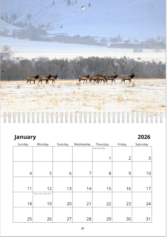 Screen Shot 2025-12-02 at 12.14.01 PM.png