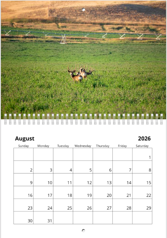 Screen Shot 2025-12-02 at 12.14.55 PM.png