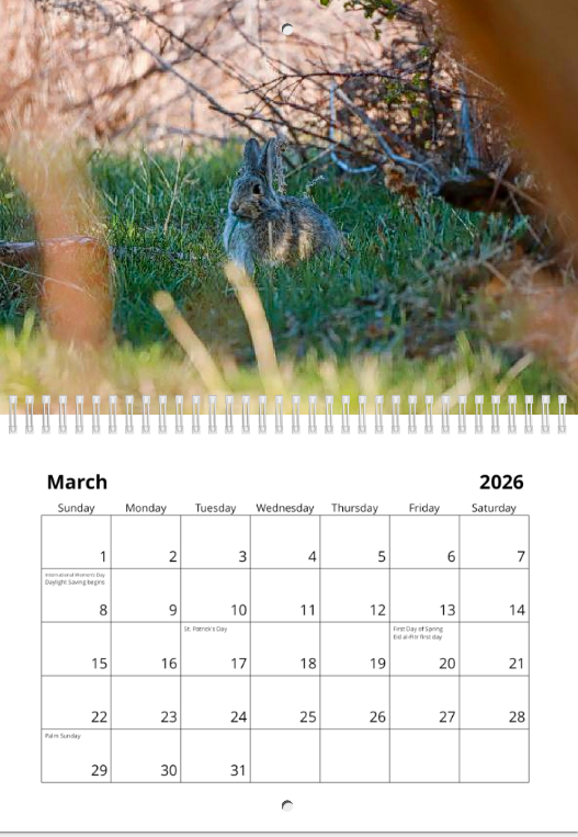 Screen Shot 2025-12-02 at 12.14.26 PM.png