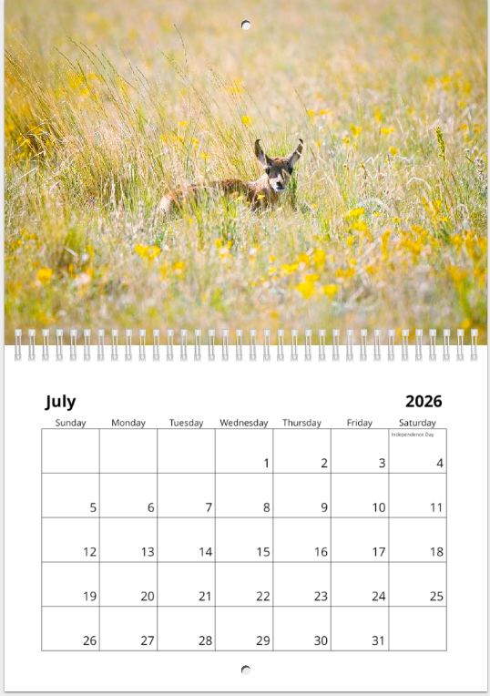 Screen Shot 2025-12-02 at 12.14.50 PM.png