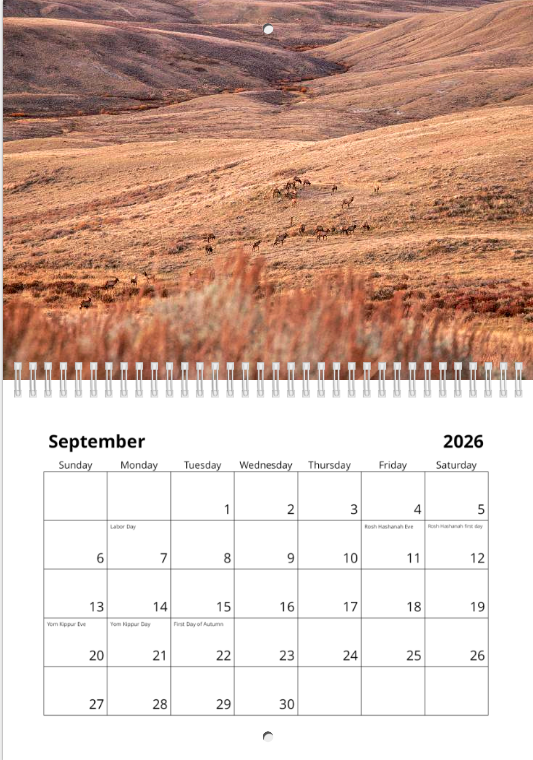 Screen Shot 2025-12-02 at 12.15.02 PM.png