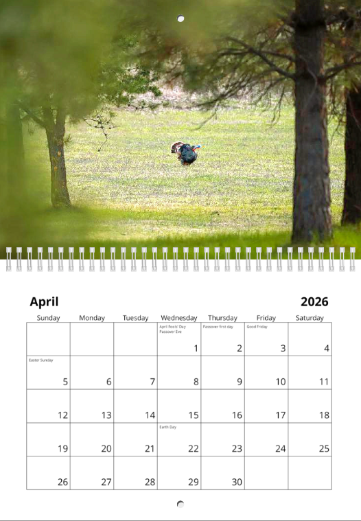 Screen Shot 2025-12-02 at 12.14.37 PM.png