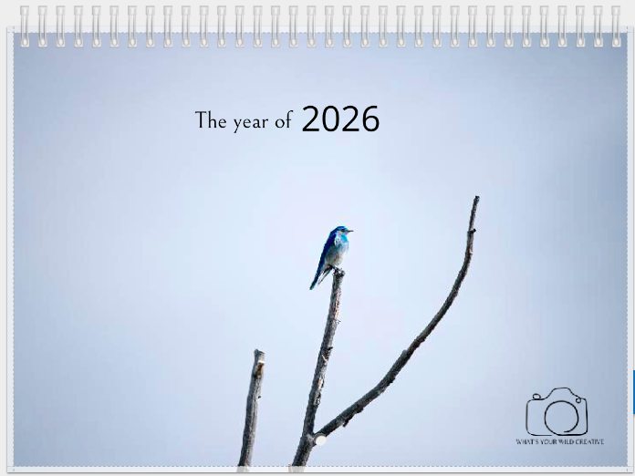 2026 Calendar
