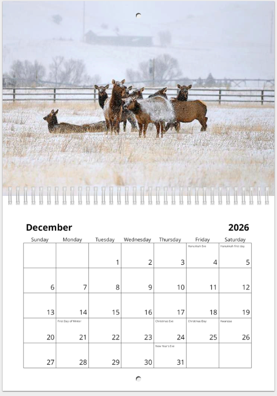 Screen Shot 2025-12-02 at 12.15.14 PM.png