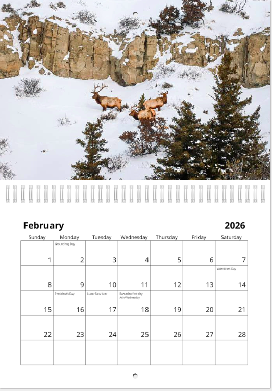 Screen Shot 2025-12-02 at 12.14.15 PM.png