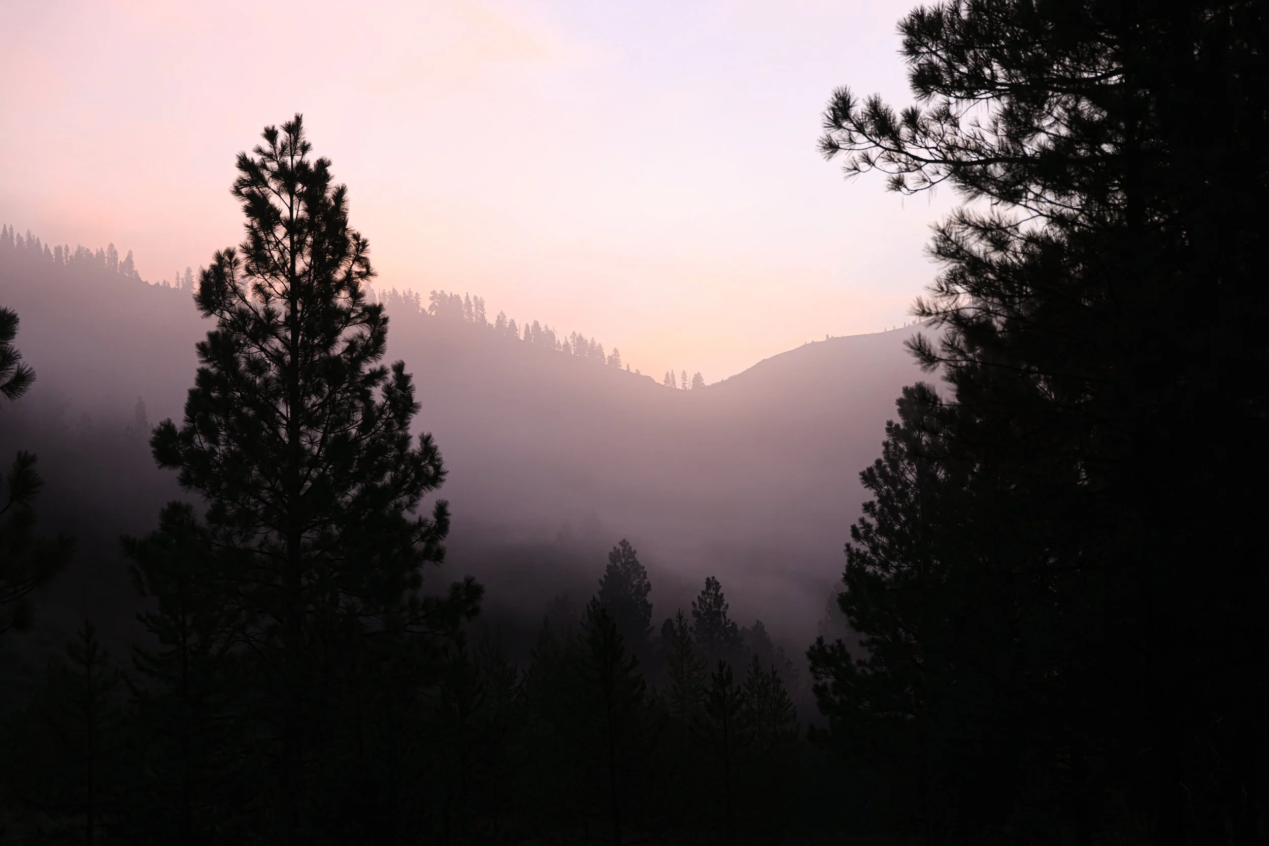 0Y6A0445.JPG