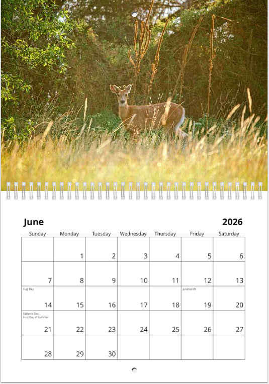 Screen Shot 2025-12-02 at 12.14.46 PM.png