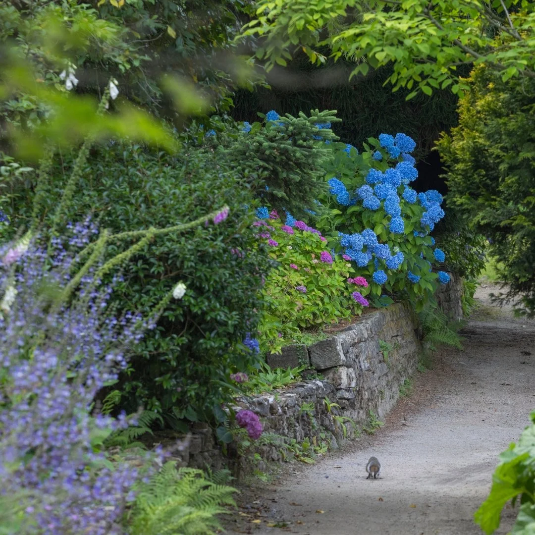 Leonardslee Gardens .jpg