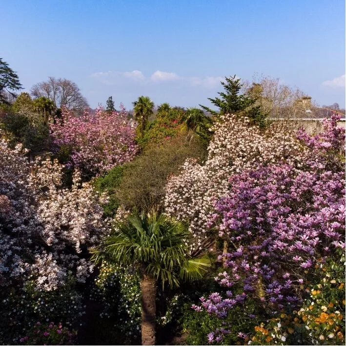 May Spring Gardens Leonardslee.jpg