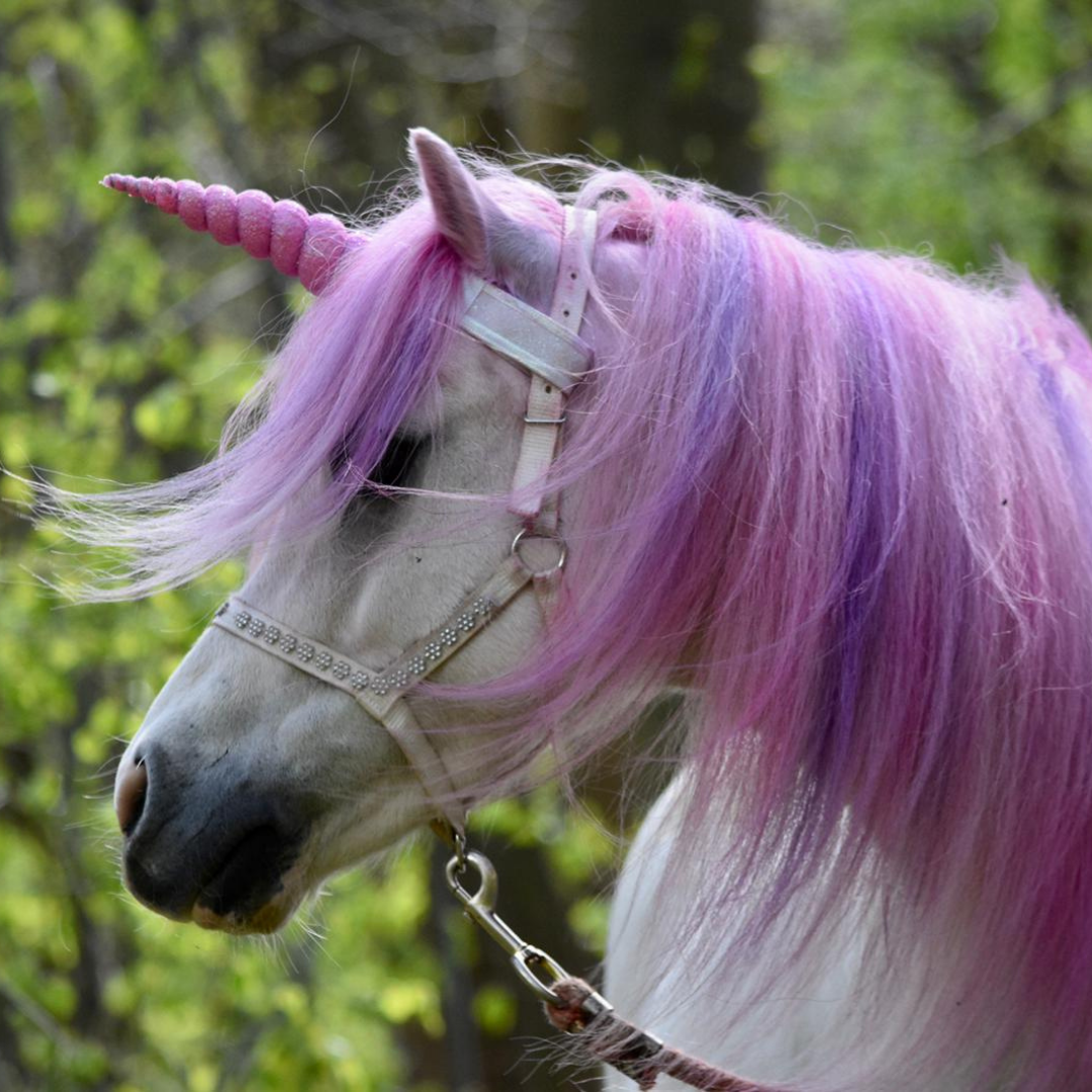 Enchanted-pink-unicorn-festival-leonardslee.png