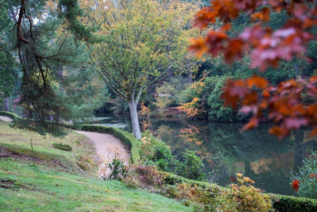 autumn-waterfall-pond-views.jpg