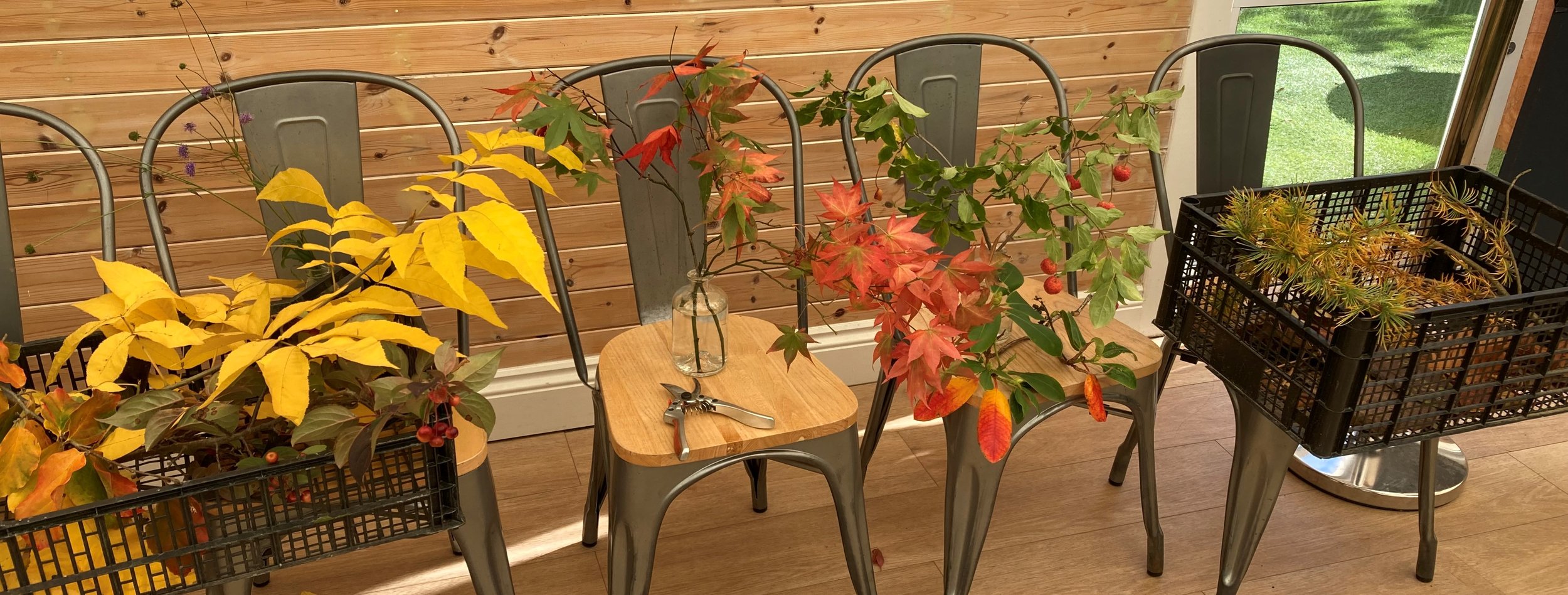 Botanical Illustration Workshop | Leonardslee Gardens