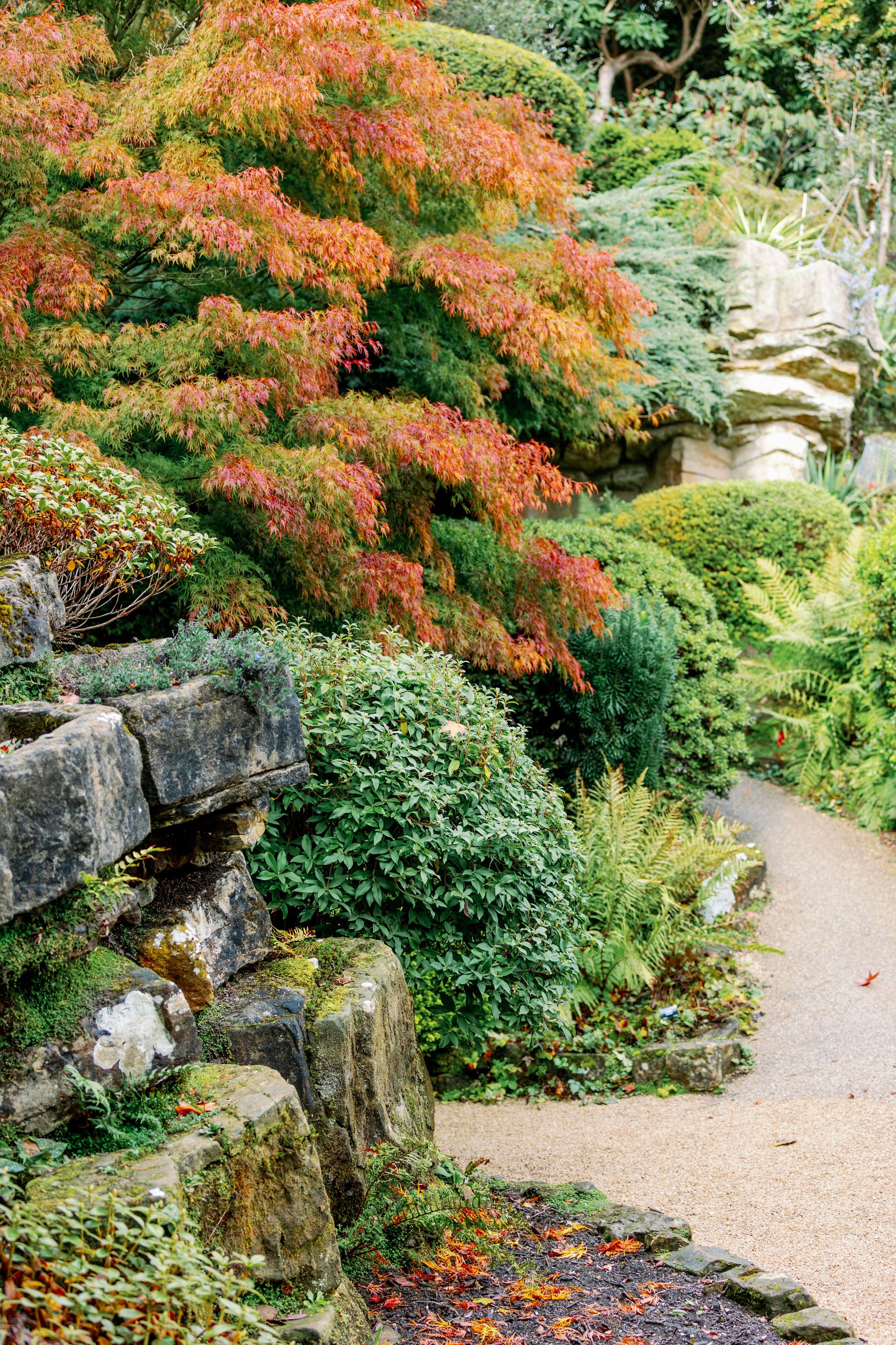 Sandeep and Sam-leonardslee-gardens-autumn.jpg