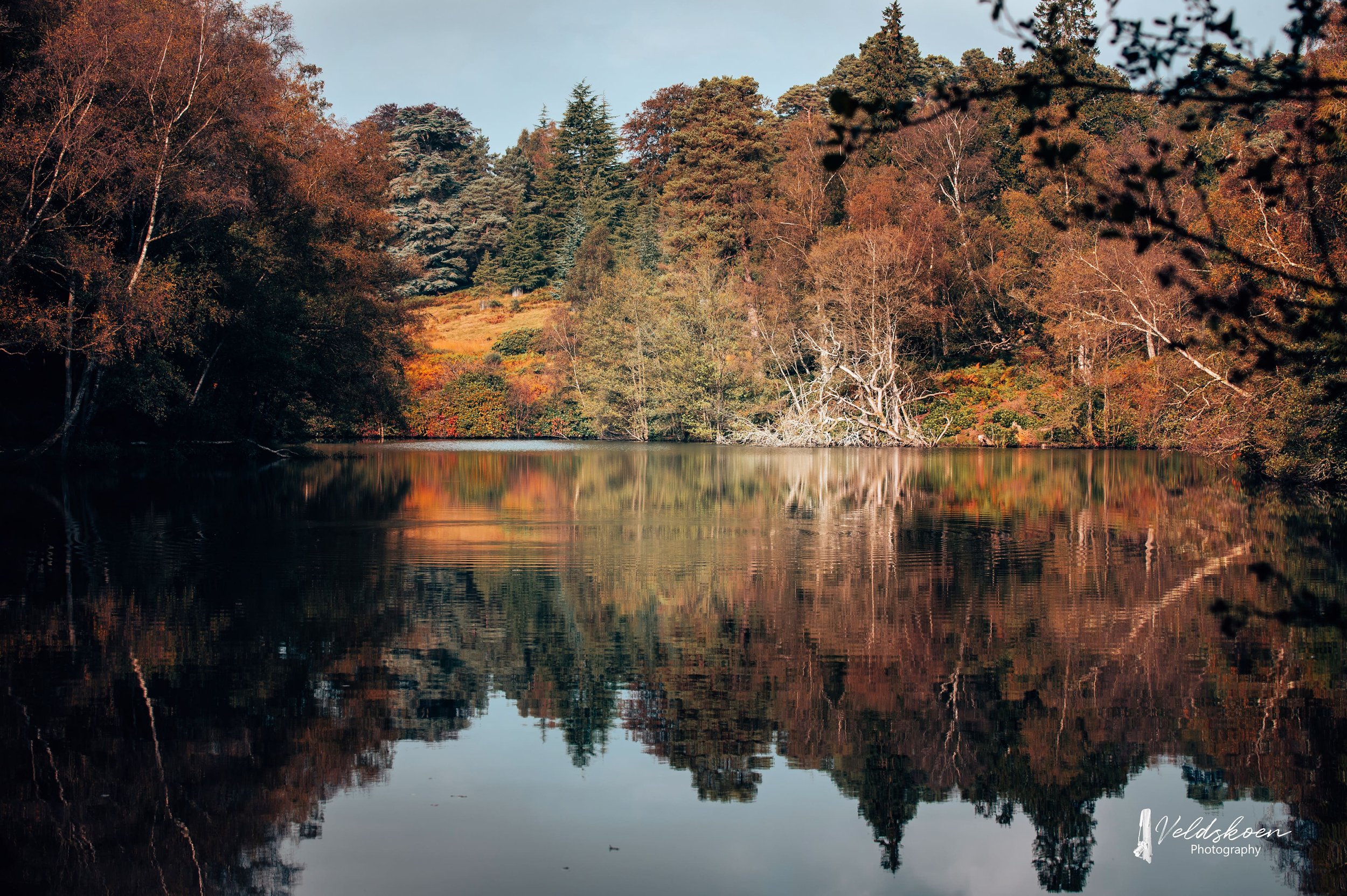 Leonardslee-lakes-autumn-west-sussex-horsham.jpg