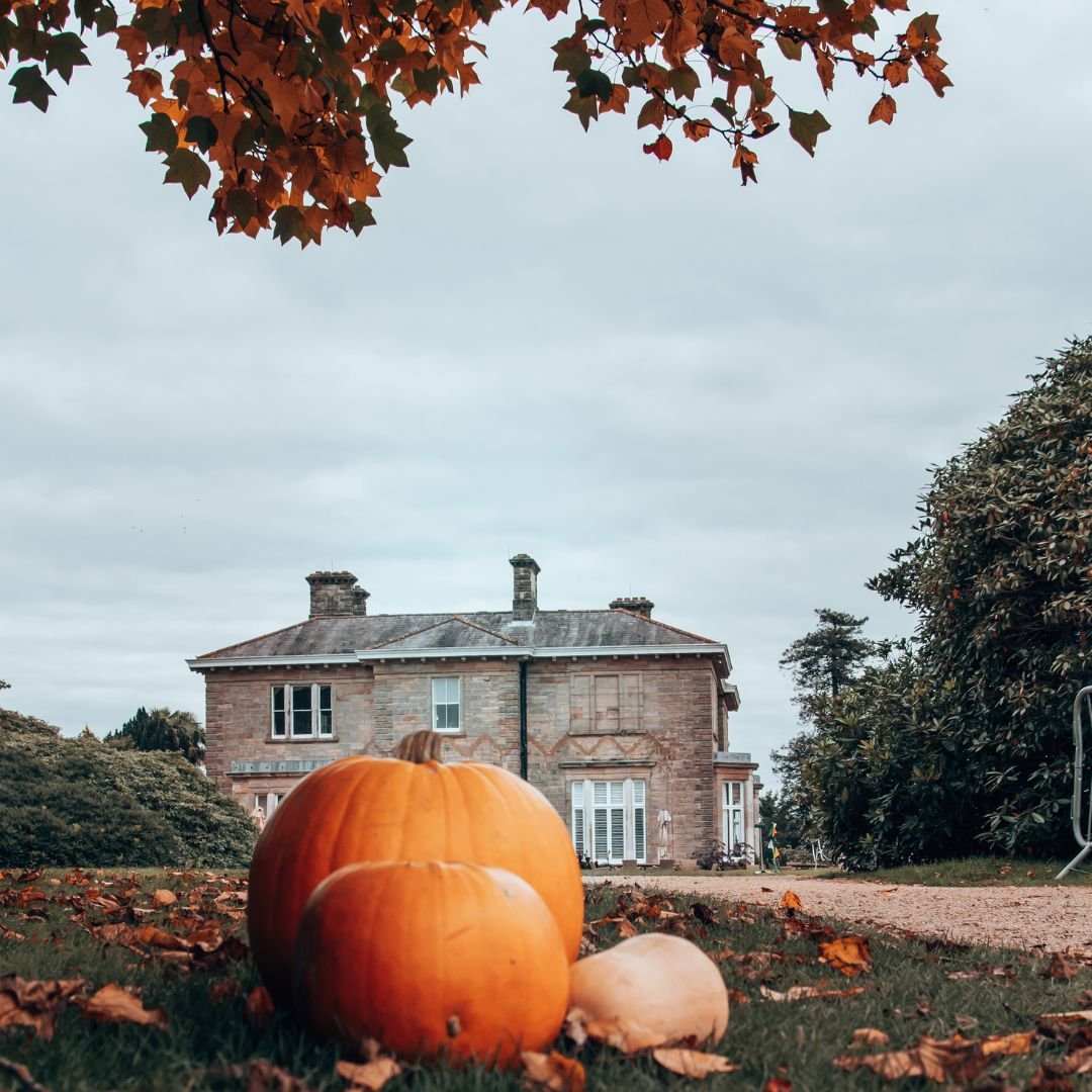 Halloween-leonardslee-pumpkin-trail-horsham (1).jpg