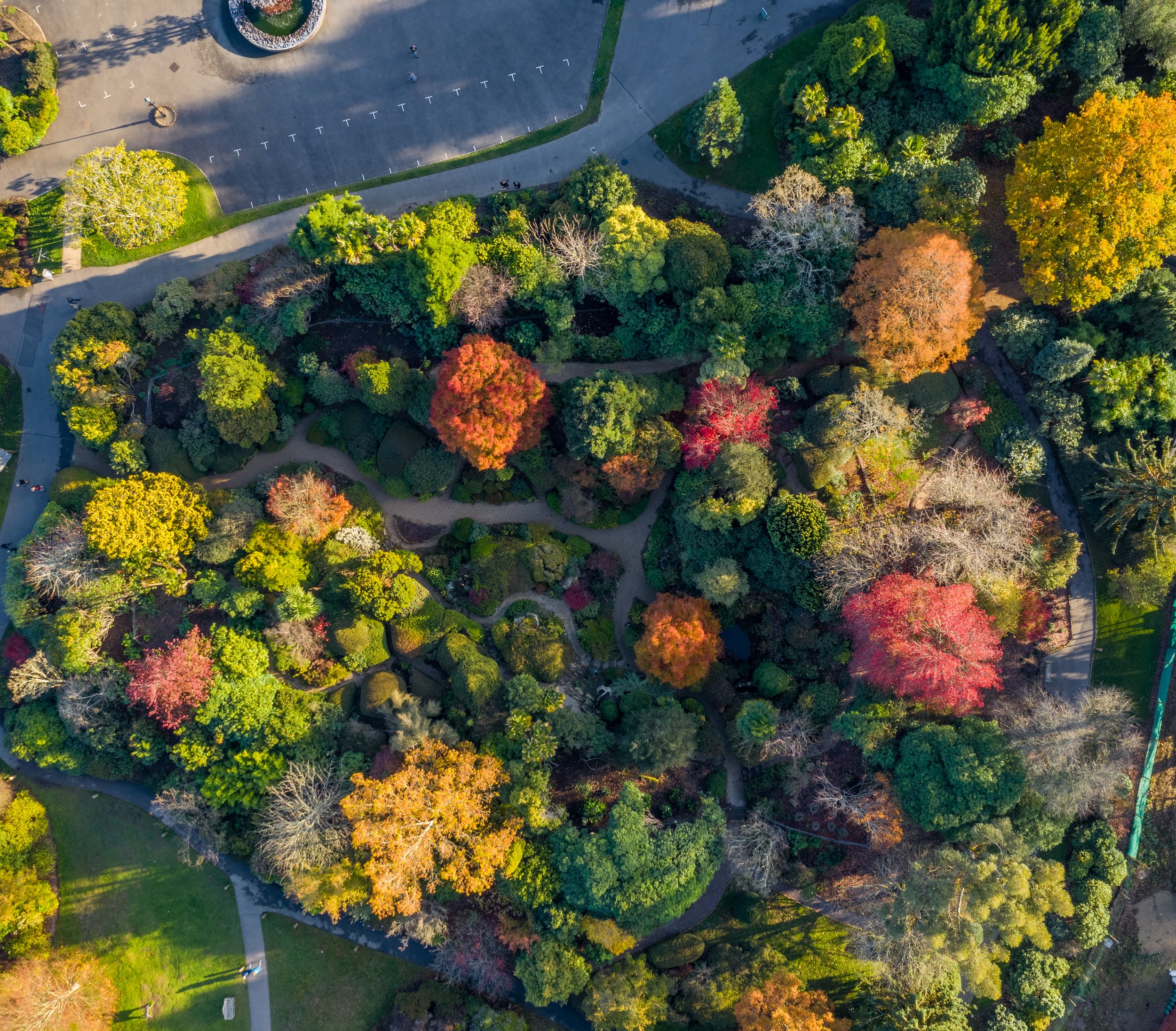 autumn - justin - drone - rock - garden - 2.jpg