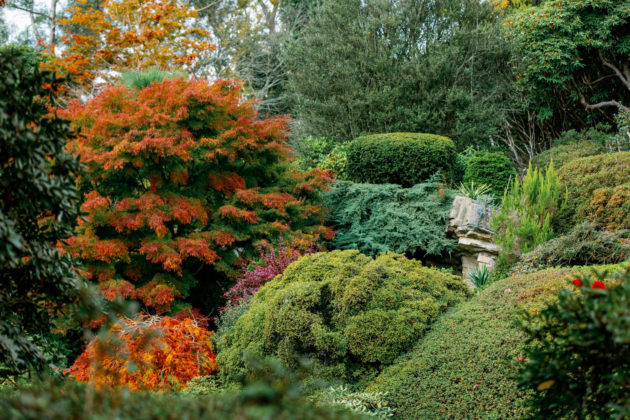 Sandeep and Sam-leonardslee-gardens-rock-garden-autumn.jpg