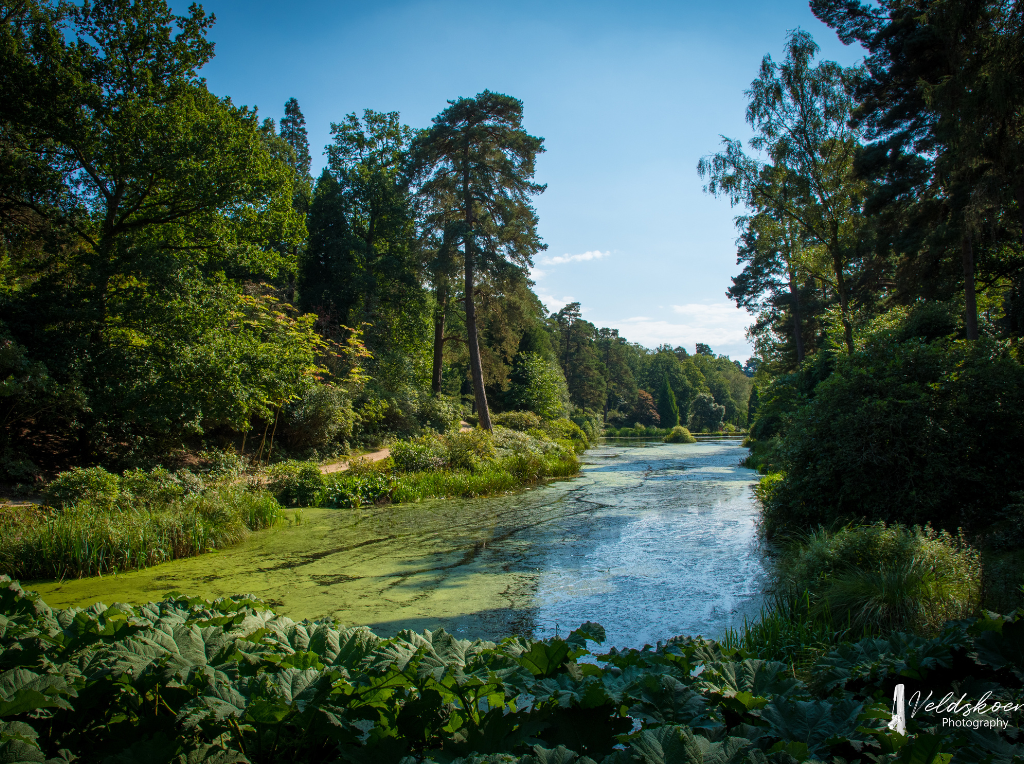 Leonardslee-summer-lakes.png