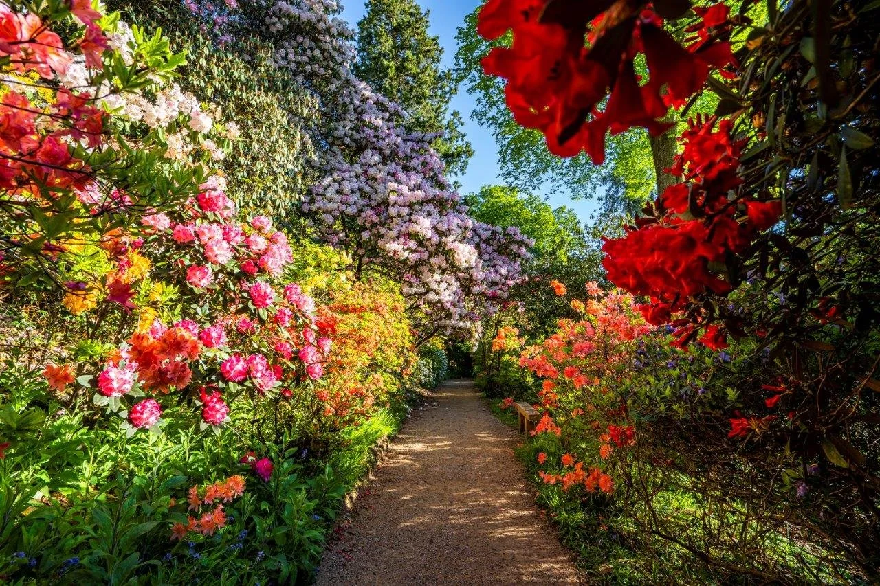 Local Stories, National Growth: Discover the Leonardslee Estate This English Tourism Week&nbsp;