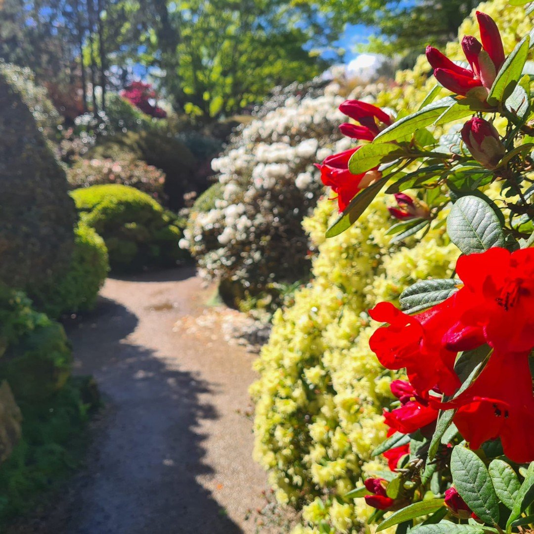 Step off the main path leading down from our Entrance and you shall find yourself in the stunning beauty of our Rock Garden. Crafted in 1890 by the renowned James Pulham &amp; Sons, this picturesque oasis was born from the vision of Sir Edmund Loder,