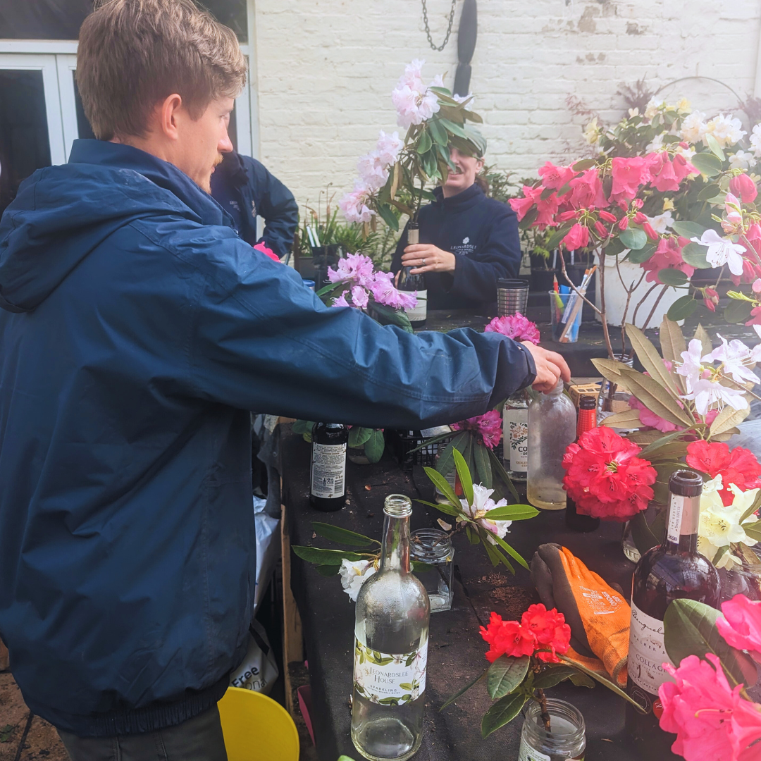 Leonardslee Triumphs at RHS Competitions and Announces Spring ...