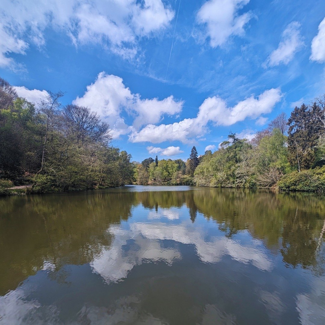 Escape to the serene beauty of our reflective lakes and take a moment to pause and admire their mirror-like surfaces. These shimmering waters not only add to the picturesque charm of our gardens but also provide a peaceful retreat for visitors seekin