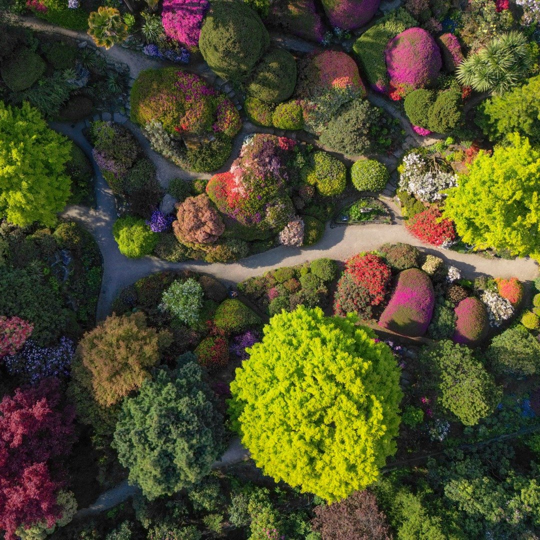 Pause for a moment and enjoy these stunning drone shots of our Rock Garden from last week! 🌸 Capturing the garden from above offers such a unique perspective that showcases its intricate beauty in a whole new light. 

 #DroneViews #RockGarden #Sprin
