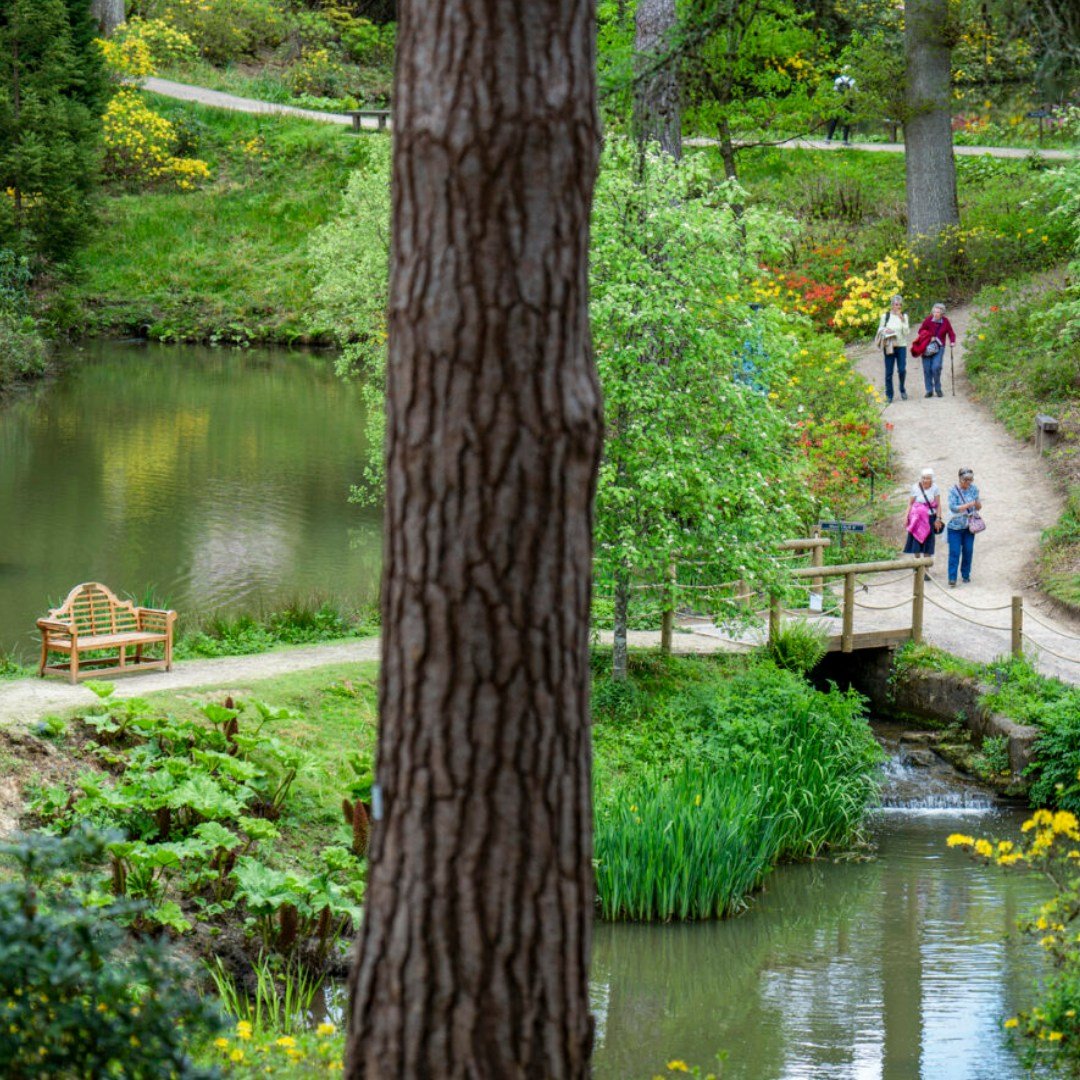 🌿 It's Mental Health Awareness Week, and this year's theme is all about movement: moving more for our mental health. 🚶&zwj;♂️🌼

At Leonardslee, we've witnessed firsthand the healing power of nature. Many of you have shared with us how our gardens 