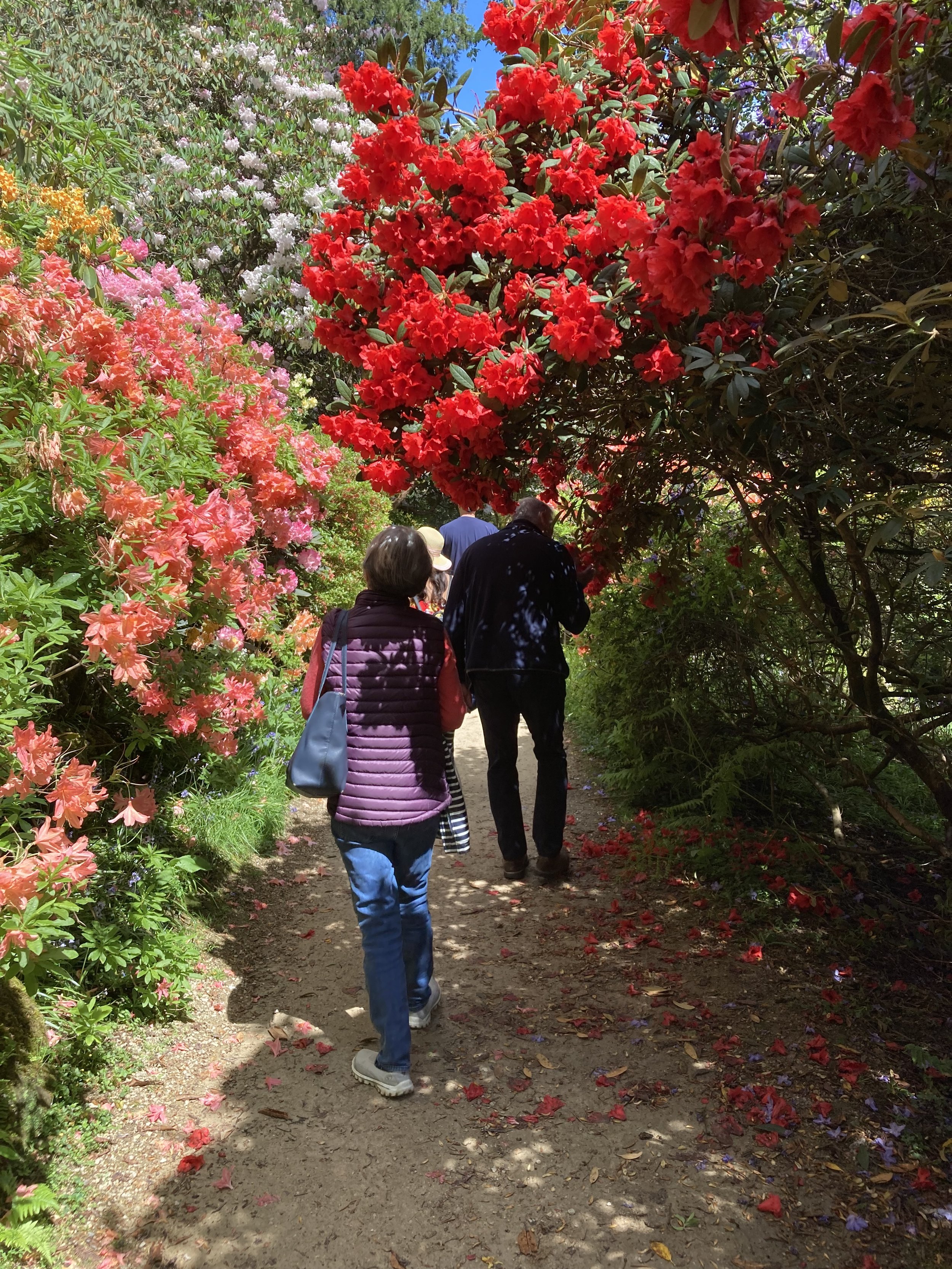 Spring-walk-Jamie-loderi-garden10.JPG
