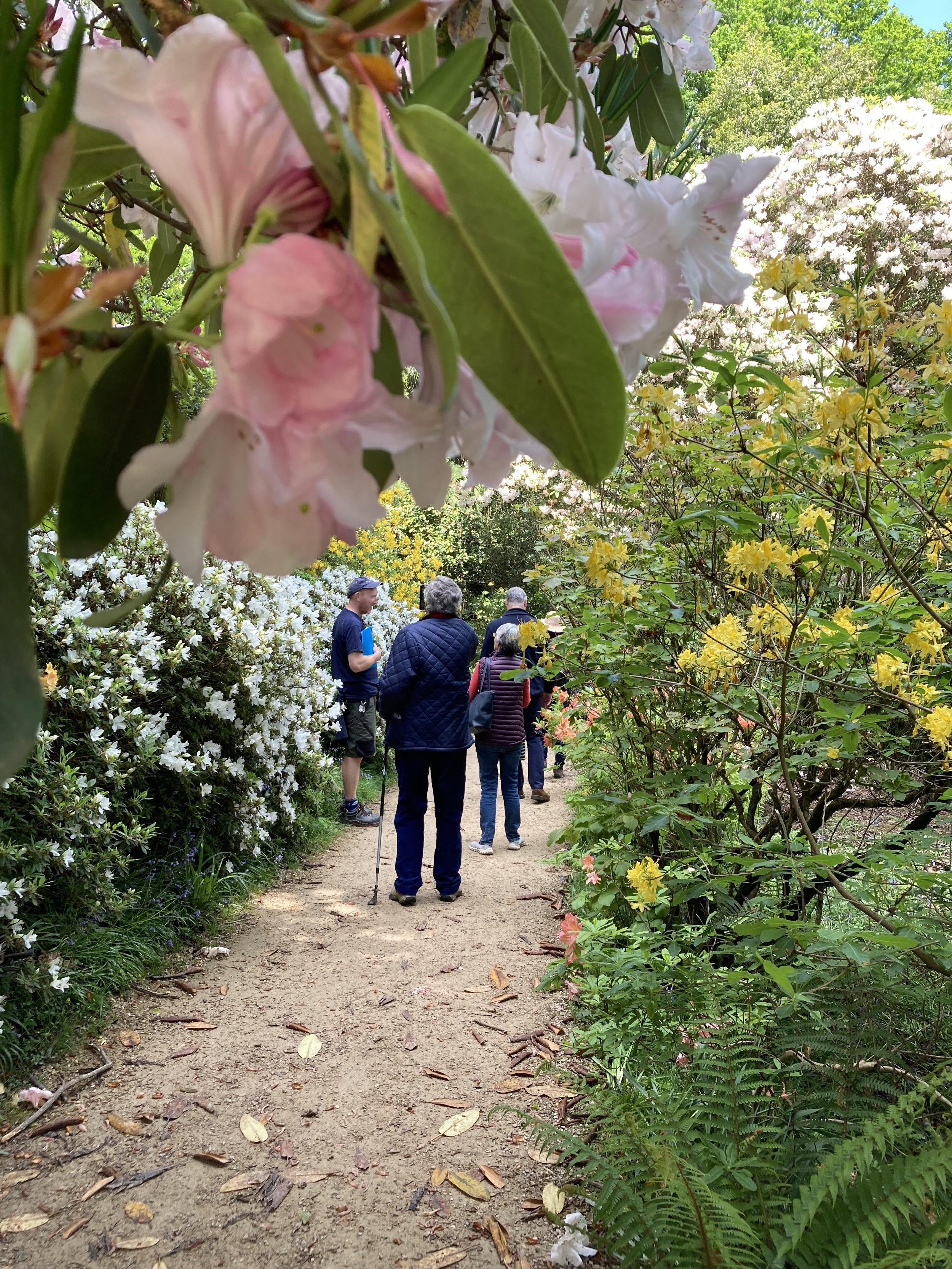 Spring-walk-Jamie-loderi-garden12.JPG