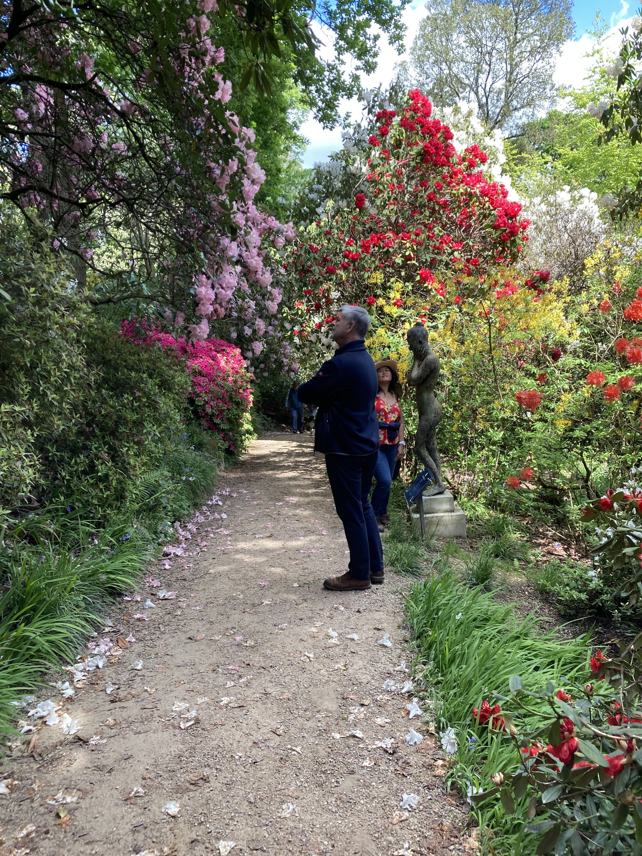 Spring-walk-Jamie-loderi-garden.JPG