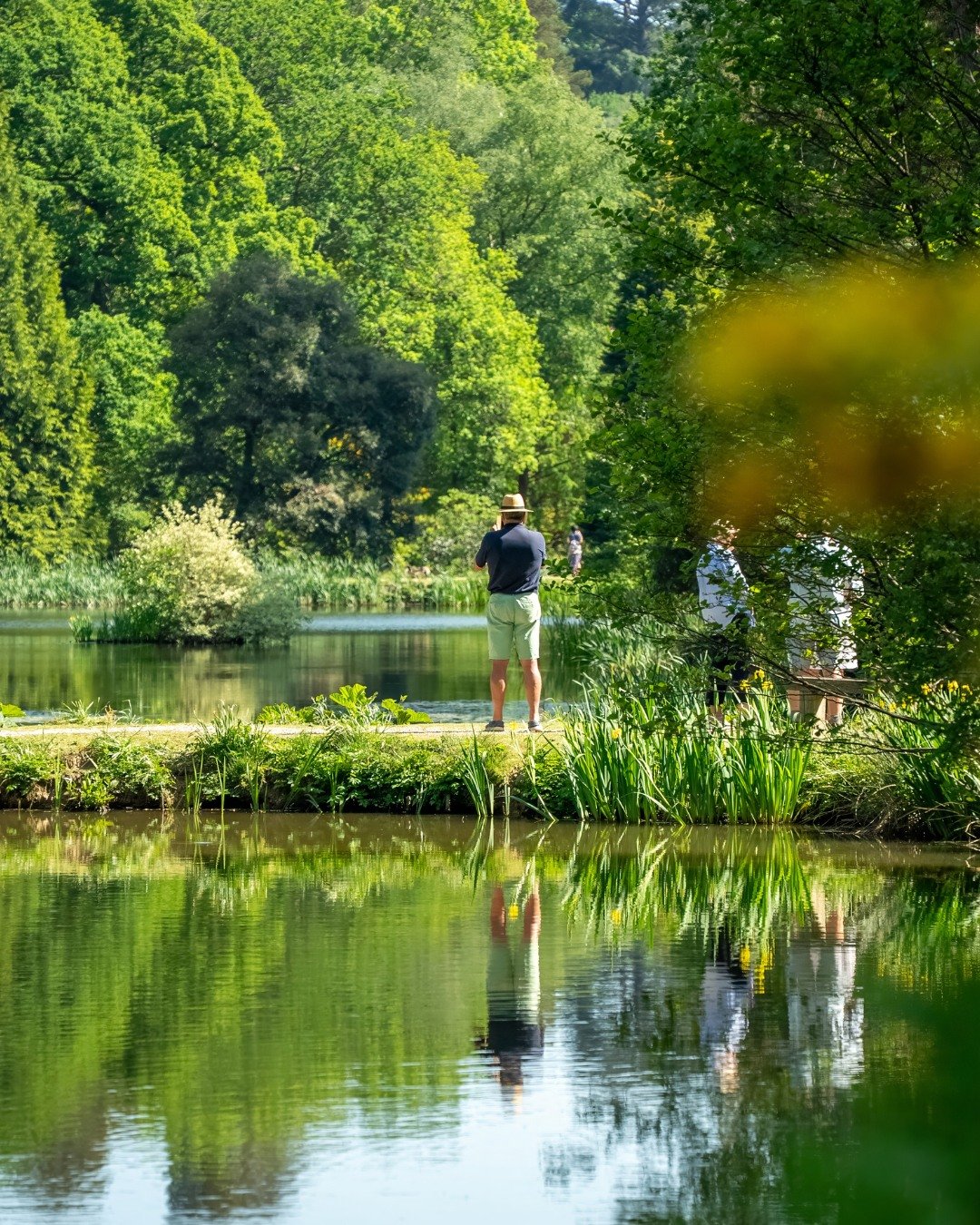 Treat Dad to a truly special day out at Leonardslee Gardens this Sunday 16 June!
Enjoy a wonderful walk through our stunning gardens, taking in the beauty of nature together. After exploring, stop by the Clocktower Kitchen for something delicious - a