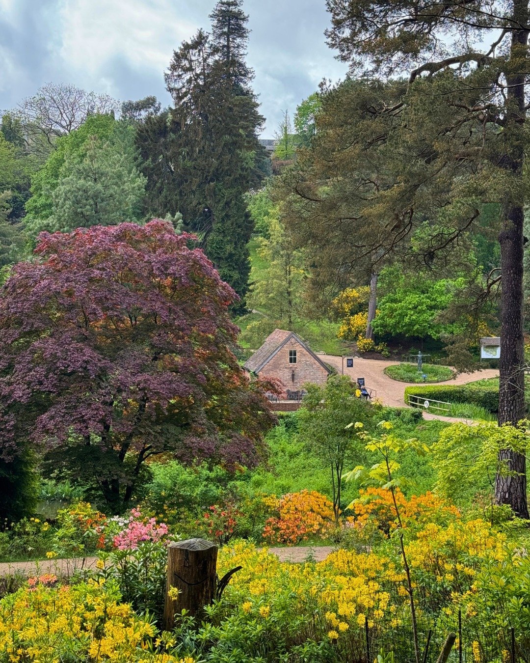 A huge thank you to everyone who's already voted for us in the 2025 RHS Partner Garden of the Year competition! We're absolutely thrilled to be a part of it.

If you haven't had a chance yet, there's still time to cast your vote and help us be crowne