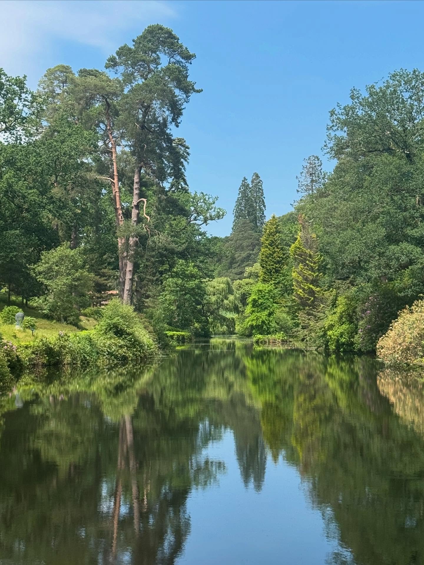 Blue skies and leafy, green vistas plus stunning reflections across the lakes - summer makes its entrance beautifully here at Leonardslee ✨🌳 

#beautiful #summerscenes #lakes #gardens #hellosummer #lakesideview #gardenwalks #summerwalks #summerview