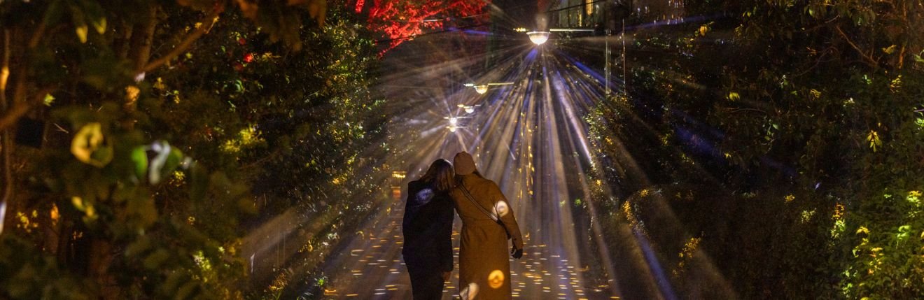 Glittering Grove