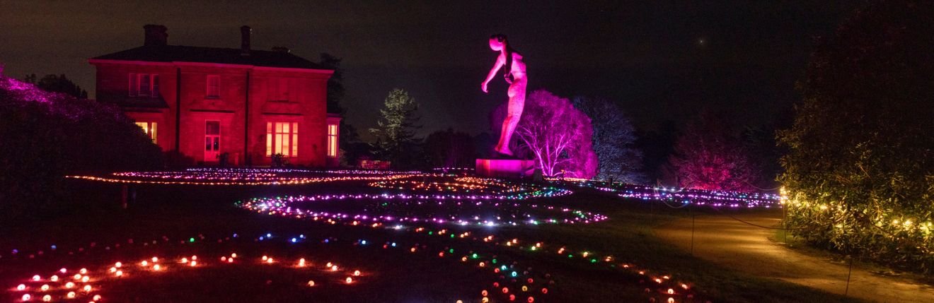 Leonardslee lights 2024 (16).jpg