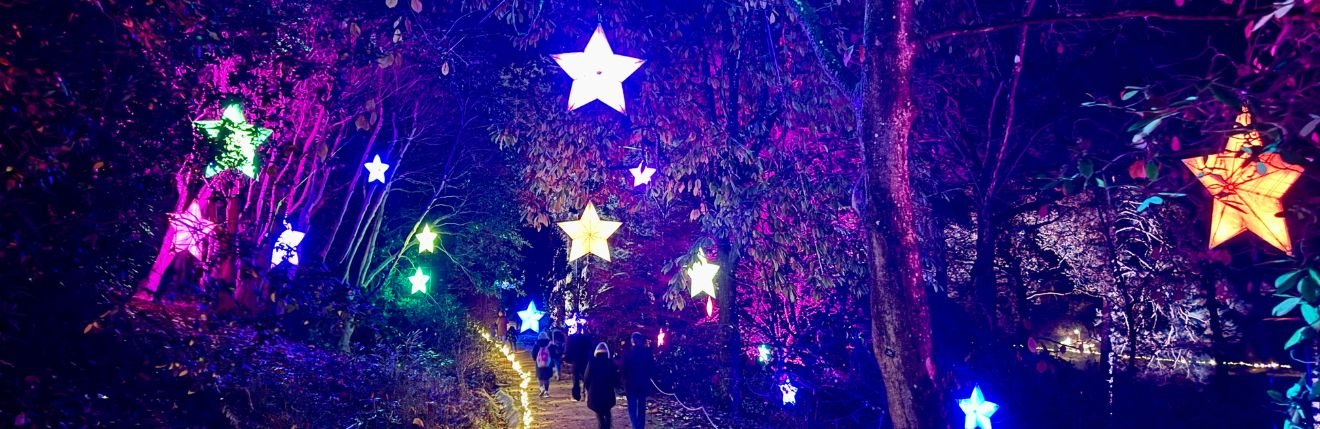 Leonardslee Lights 2024 (1).jpg