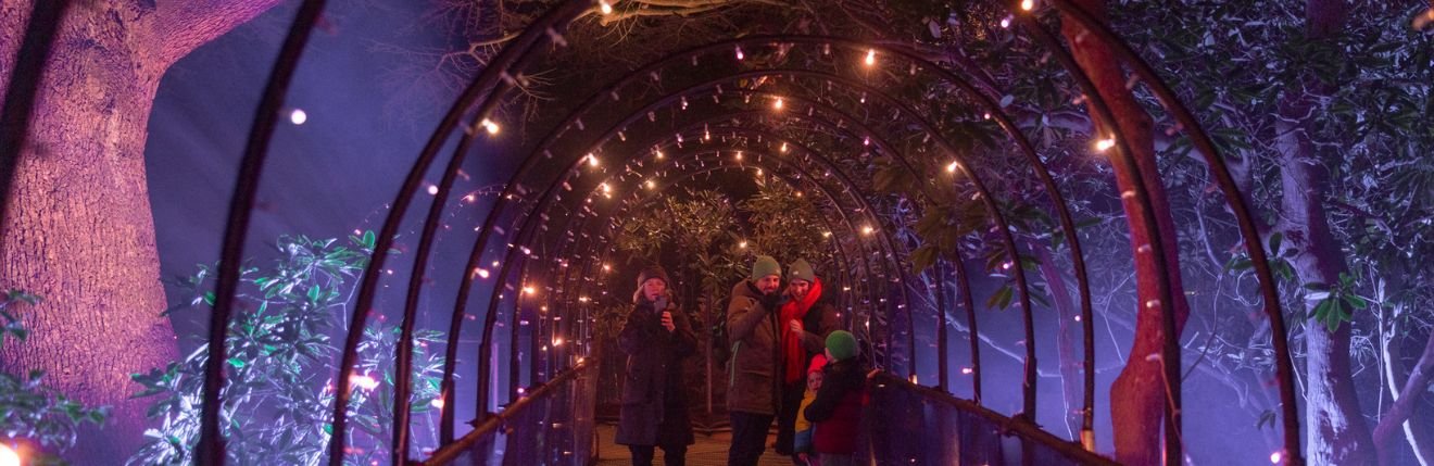 Leonardslee Lights 2024 (4).jpg
