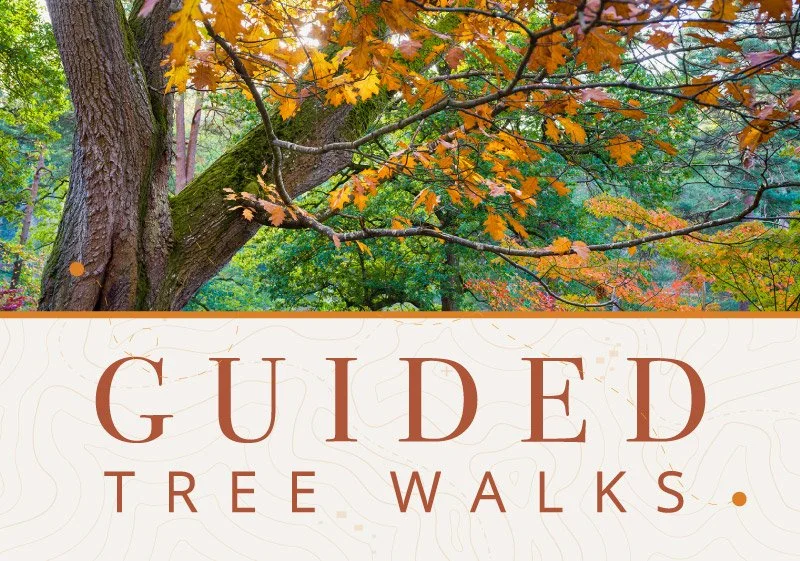 Guided Tree Walks