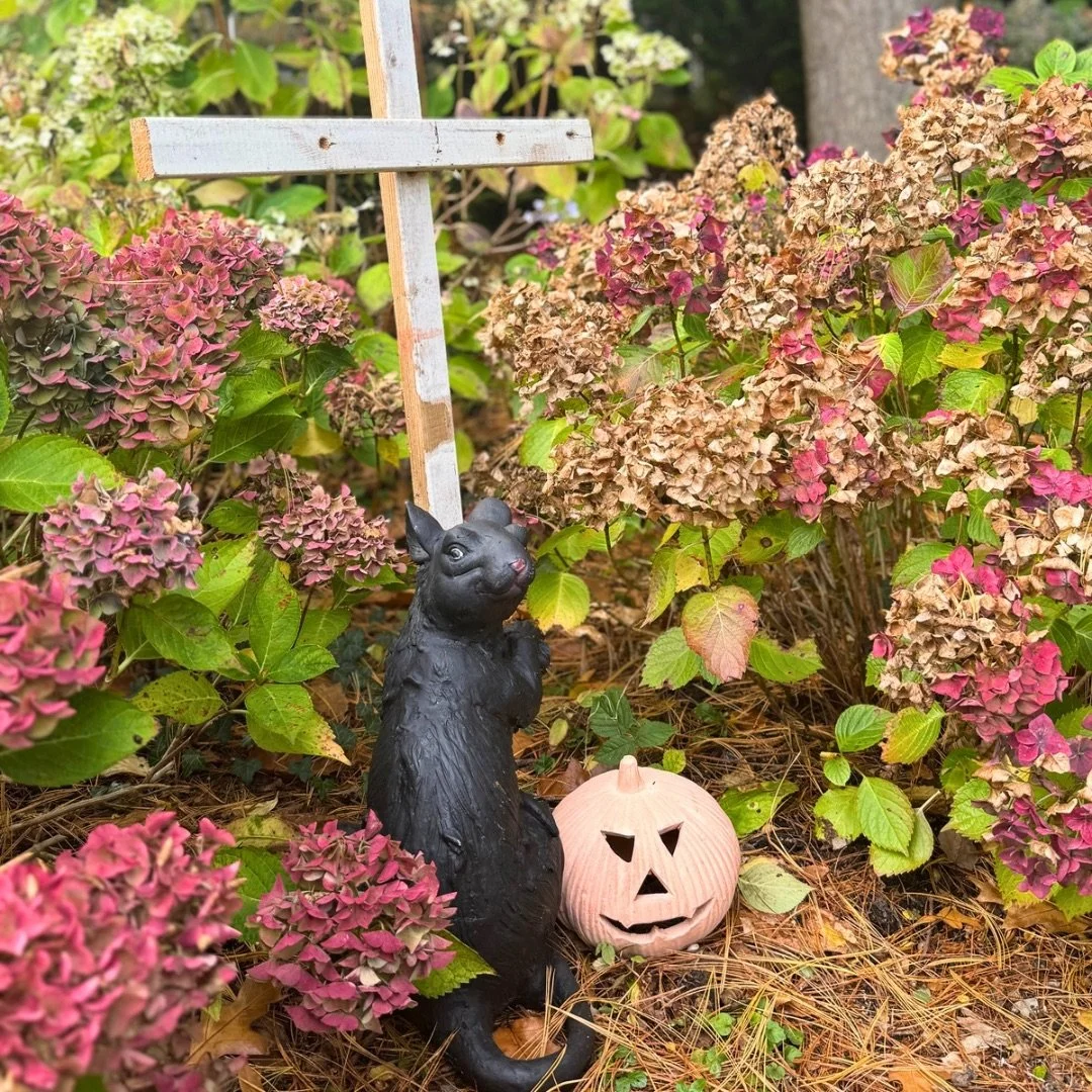 Leonardslee-halloween-pumpkin-trail-2024.jpg
