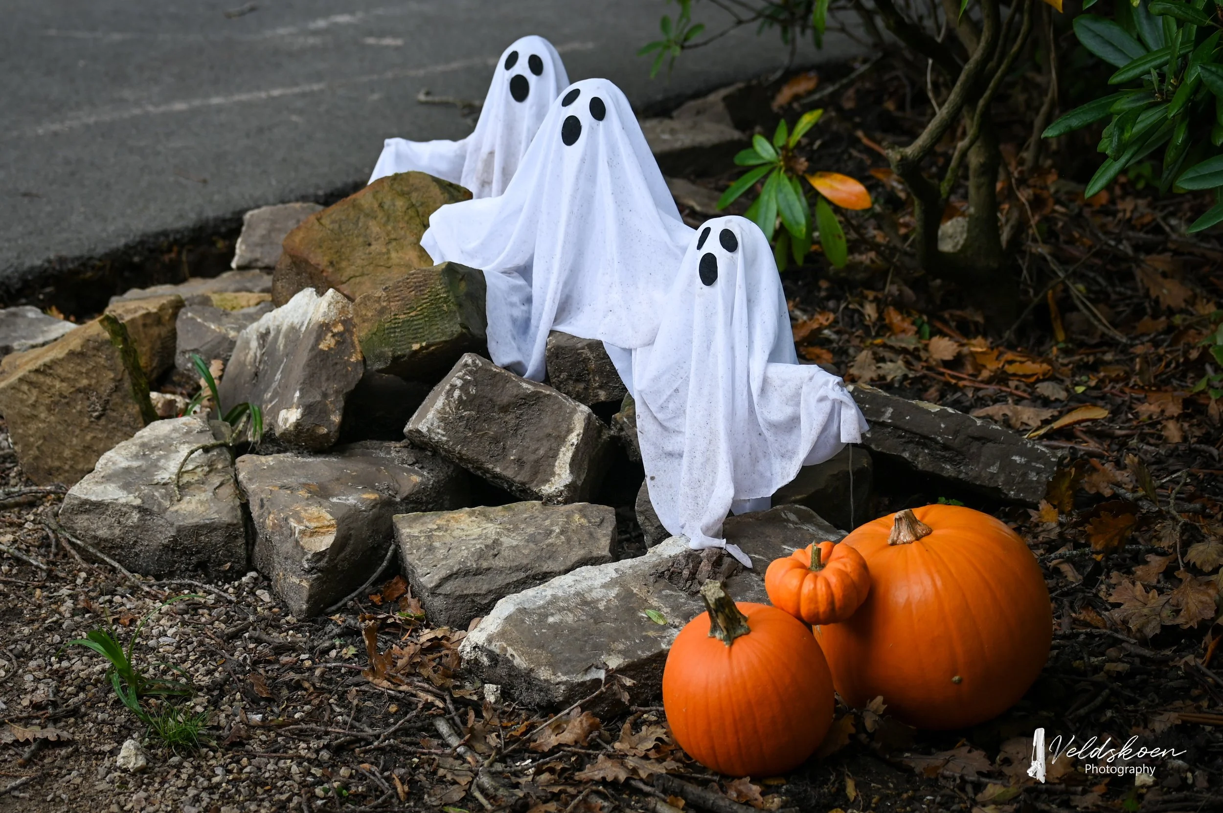 halloween-pumpkin-trail-leonardslee-gardens-2021-veldskoen-photography (58).JPG