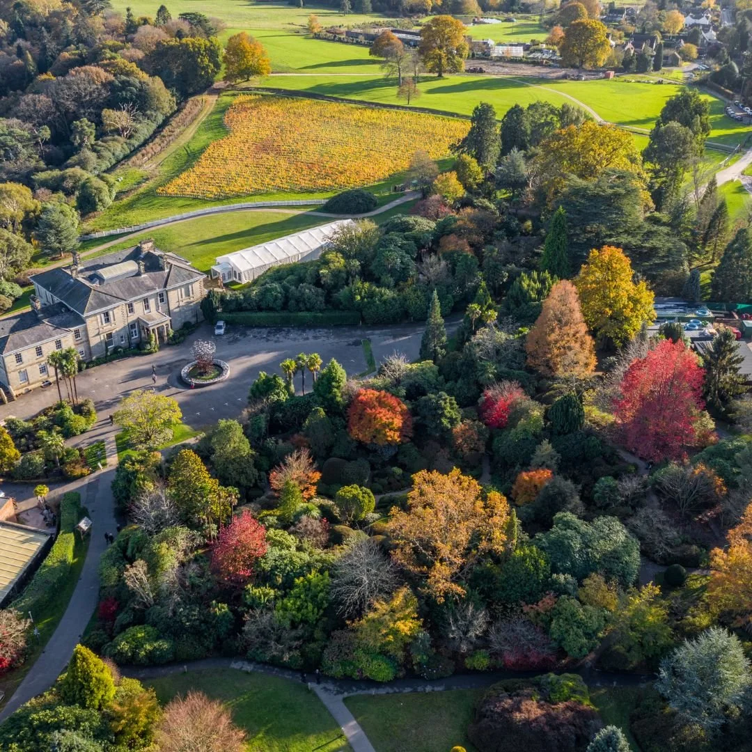 A Seasonal Escape for Groups in West Sussex