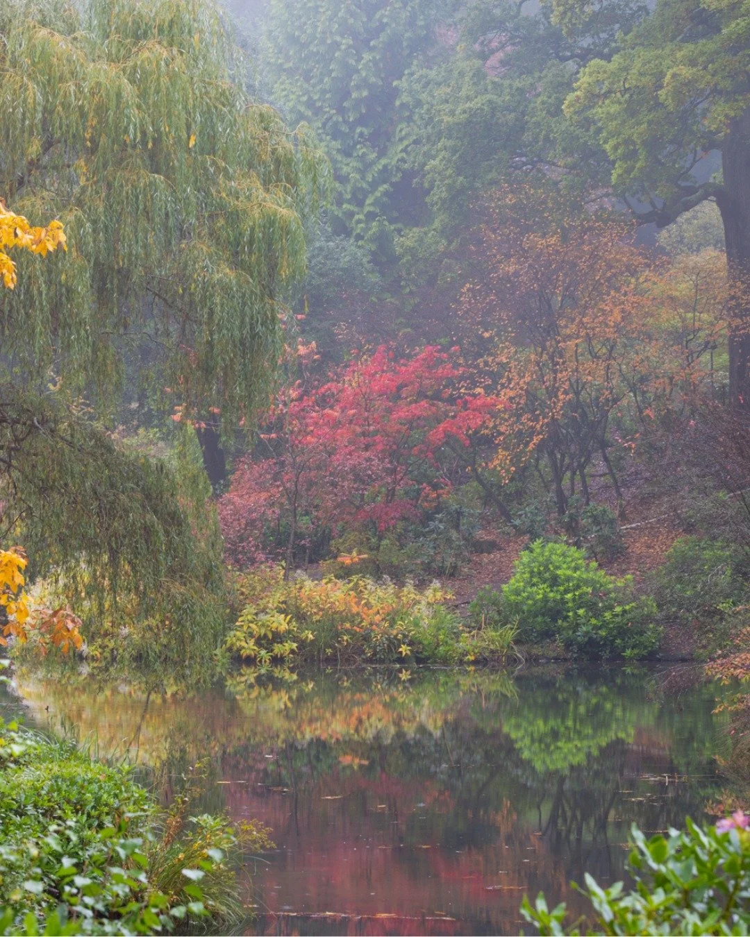 🍂 Autumnal hues glow through the morning mist, painting our gardens in rich shades of gold, amber and crimson. Our tranquil landscapes and vibrant trees create the perfect backdrop for a peaceful day of exploration. Please don&rsquo;t forget your ca
