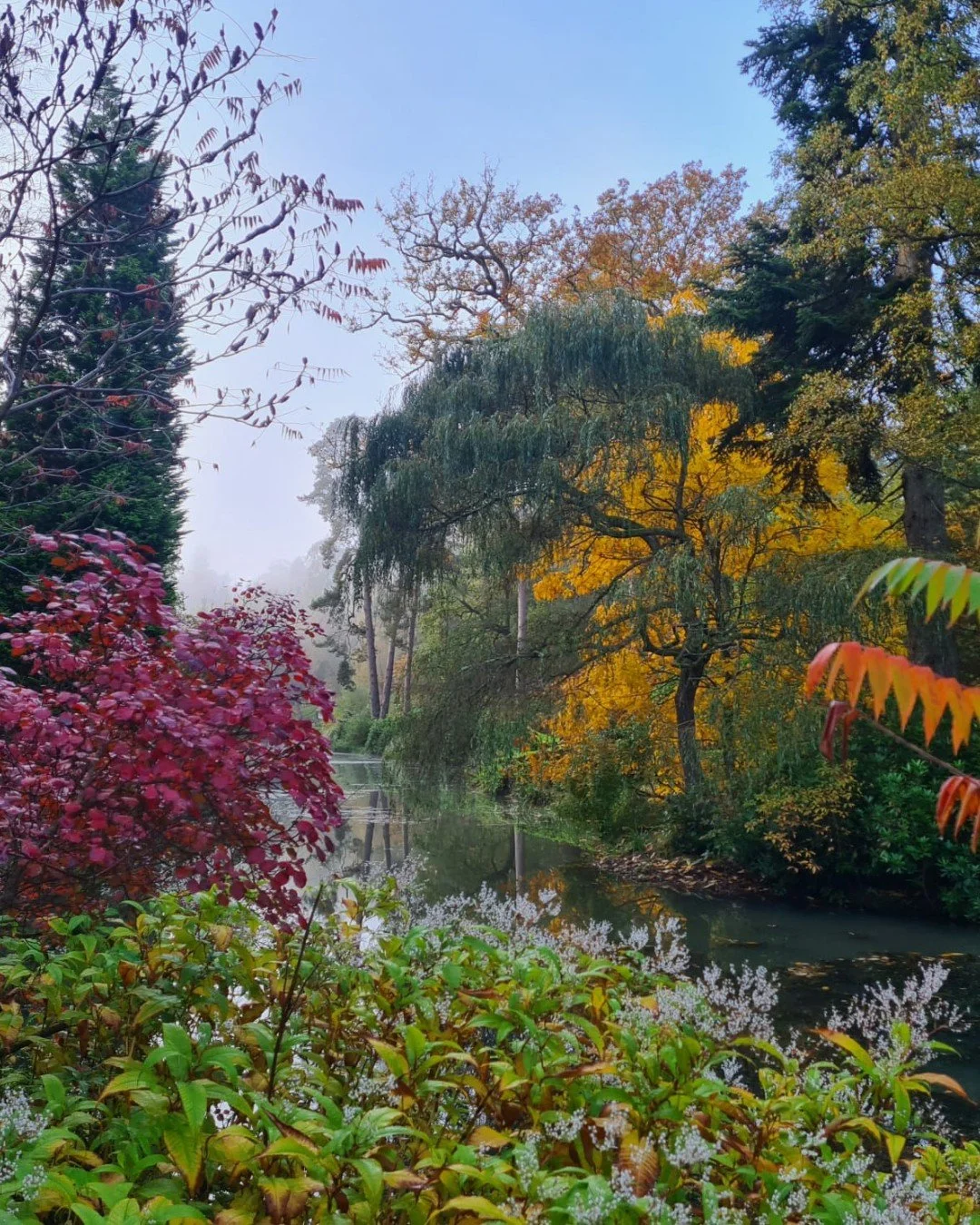 🍂✨ Autumn isn&rsquo;t just about fiery colours and falling leaves, the season is steeped in folklore and old stories waiting to be rediscovered.

🌙 In Sussex, legend says that walking through woodlands on Michaelmas Eve could reveal the autumn spir